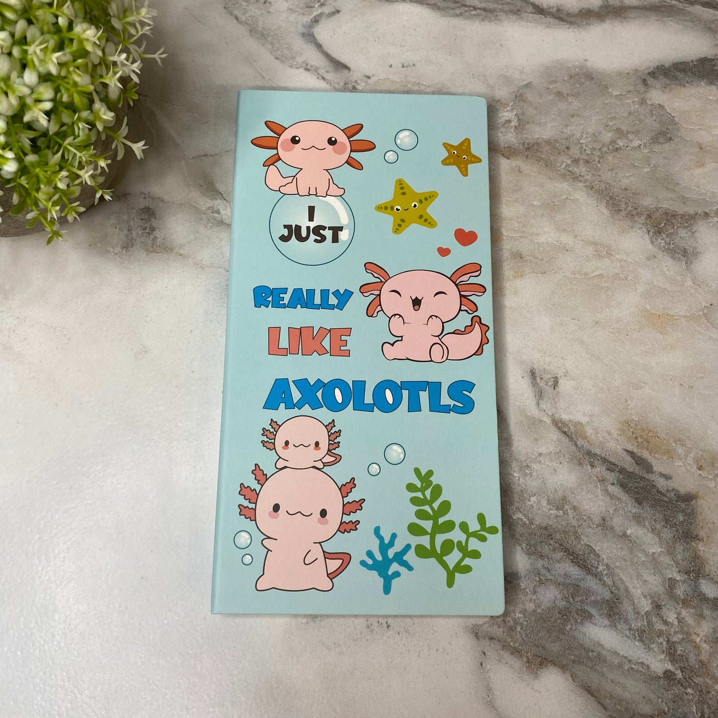 Sticky Note Booklet Set - Axolotl
