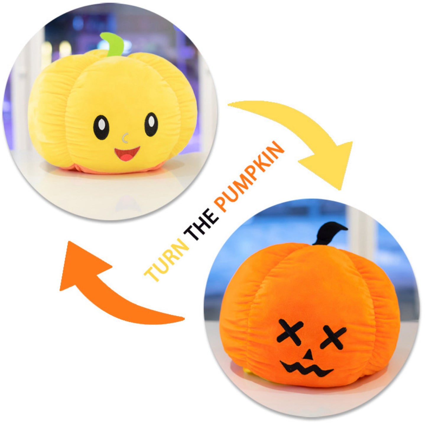 Moody Animals - Pumpkins, Ghost, Dog, & Cat